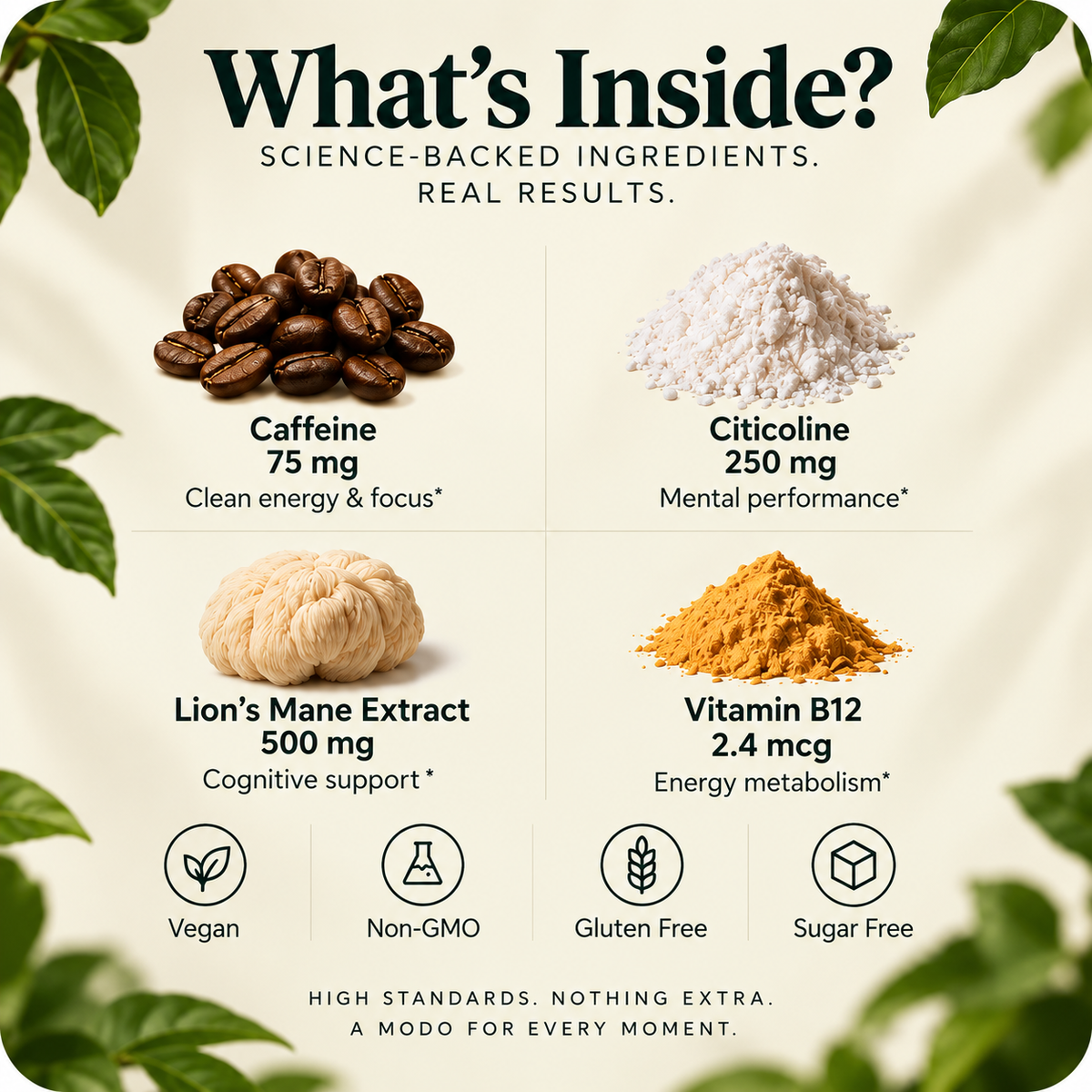What's inside MODO Focus — caffeine 75 mg, citicoline 250 mg, lion's mane extract 500 mg and vitamin B12 2.4 mcg